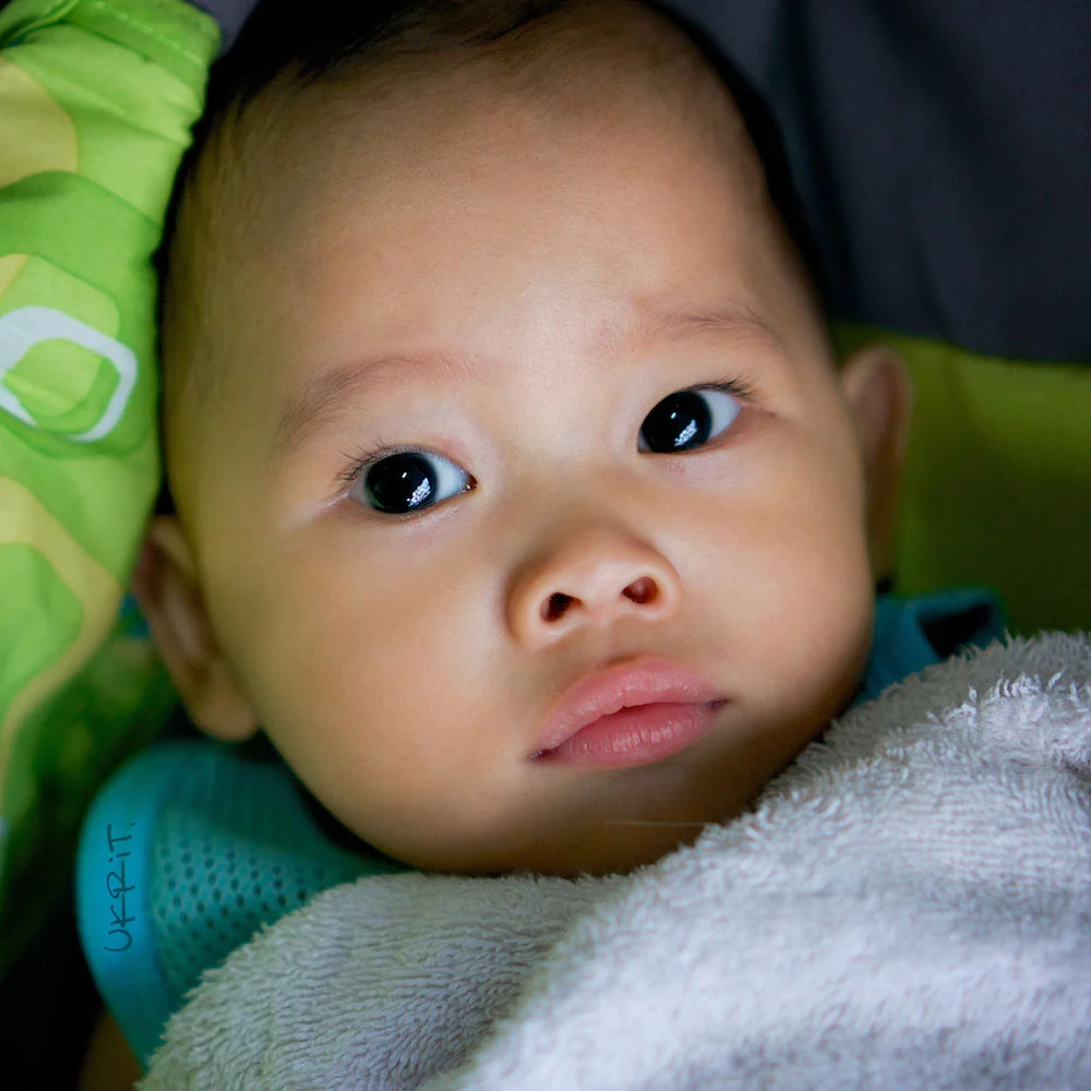 A baby wrapped in a blanket